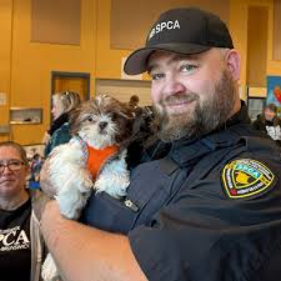 Belledune : la SPCANB proc&egrave;de &agrave; la saisie de 43 animaux