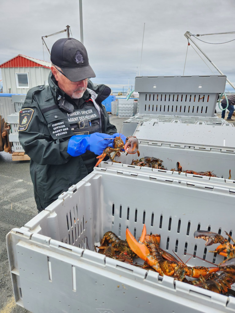 Nord-Est : des pêcheurs commerciaux sous enquête