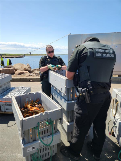 Pêche au homard : inspection majeure dans la zone 23